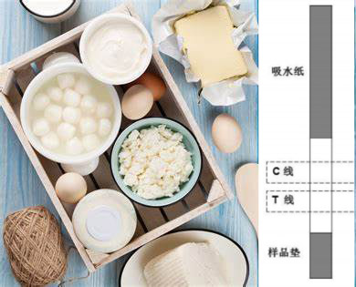 新鲜原奶黄曲霉素M1检测试纸条