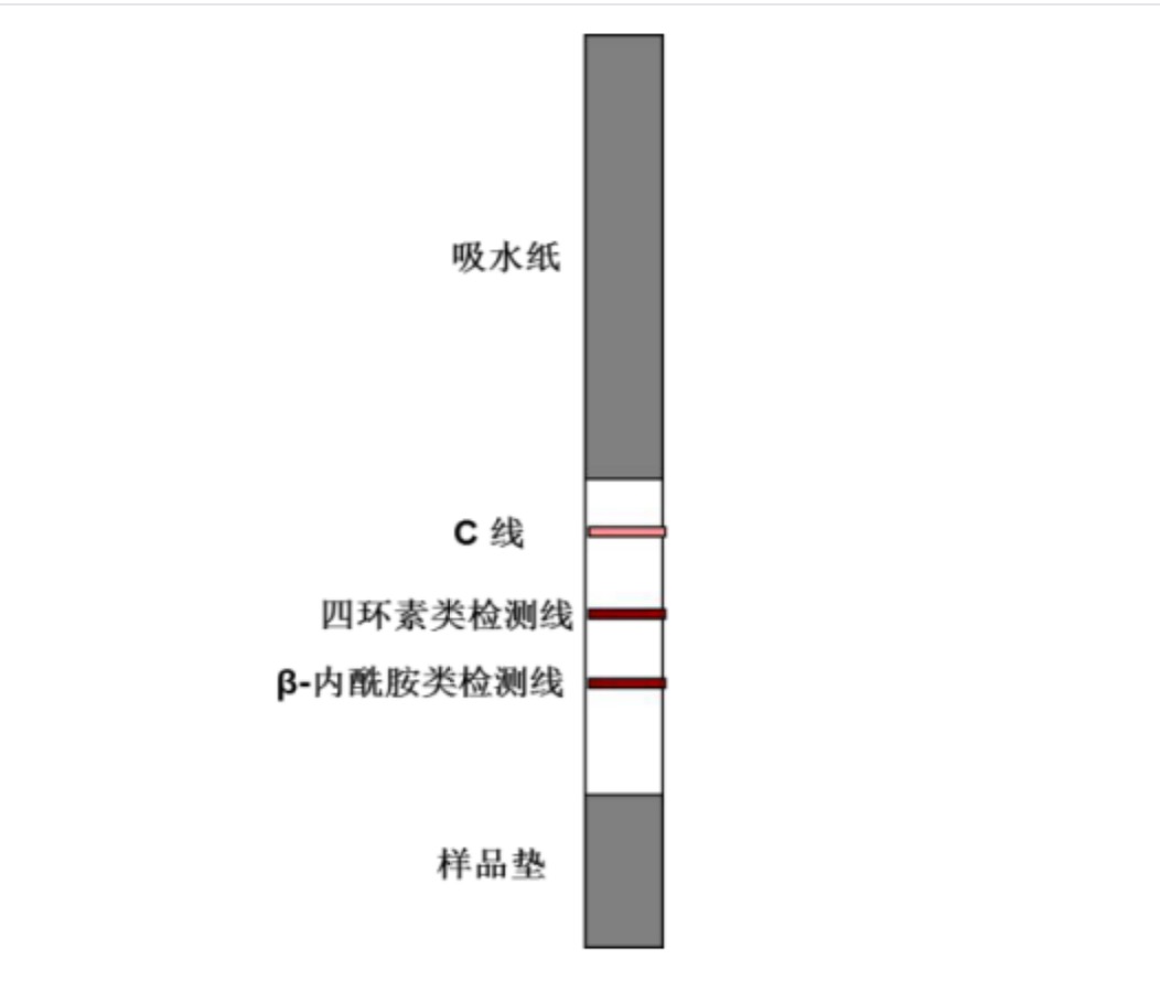 四环素类+β-内酰胺类抗生素检测试纸条.jpg