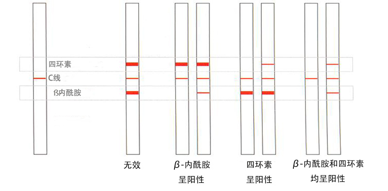 Twinsensor test kit-中文细节.jpg