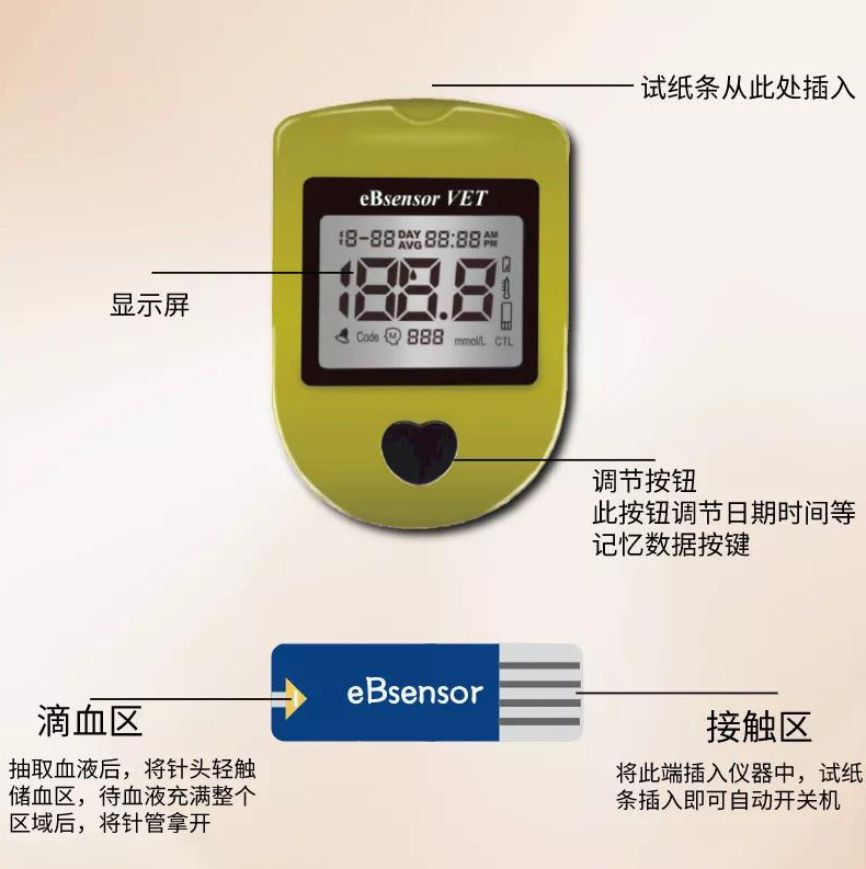 eBsensor-内容3.jpg