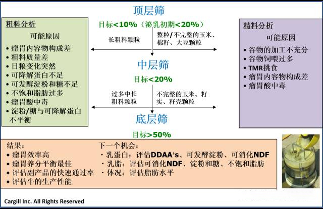 嘉吉筛-分析参考.jpg